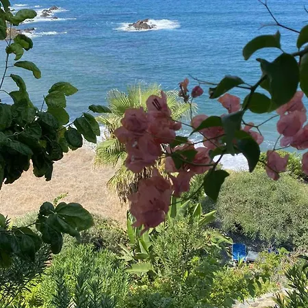 Apartment Mourayio *