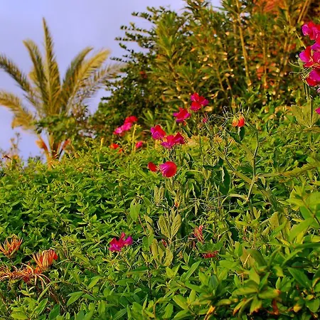 Mourayio Apartamento *