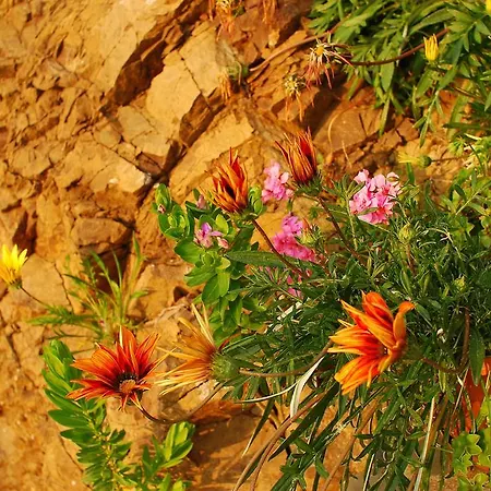 Apartamento Mourayio