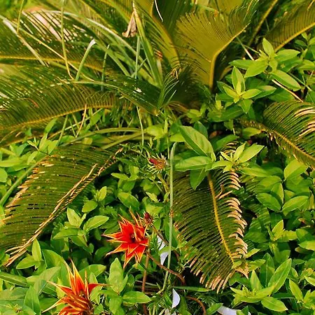 Apartamento Mourayio Pomos