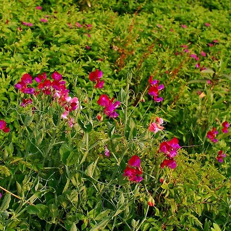 Apartamento Mourayio