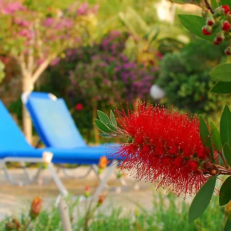 Mourayio Apartament Pomos
