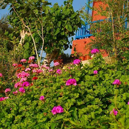 Mourayio Apartment