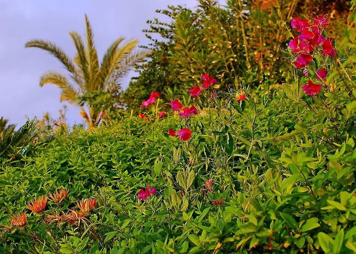 Mourayio Апартаменты *