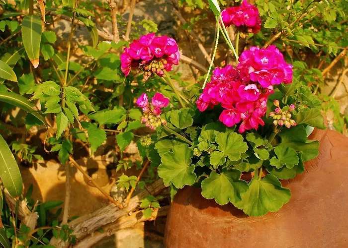 Mourayio Апартаменты