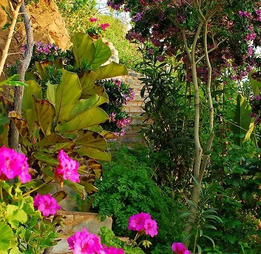 Mourayio Апартаменты Помос