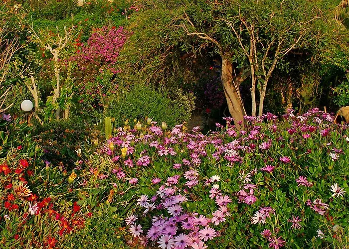 Mourayio * Помос